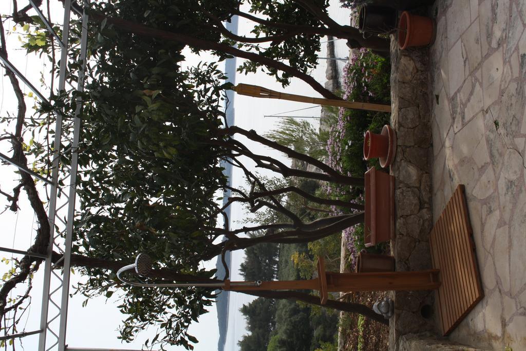 Villa Marijam Hvar Town Esterno foto